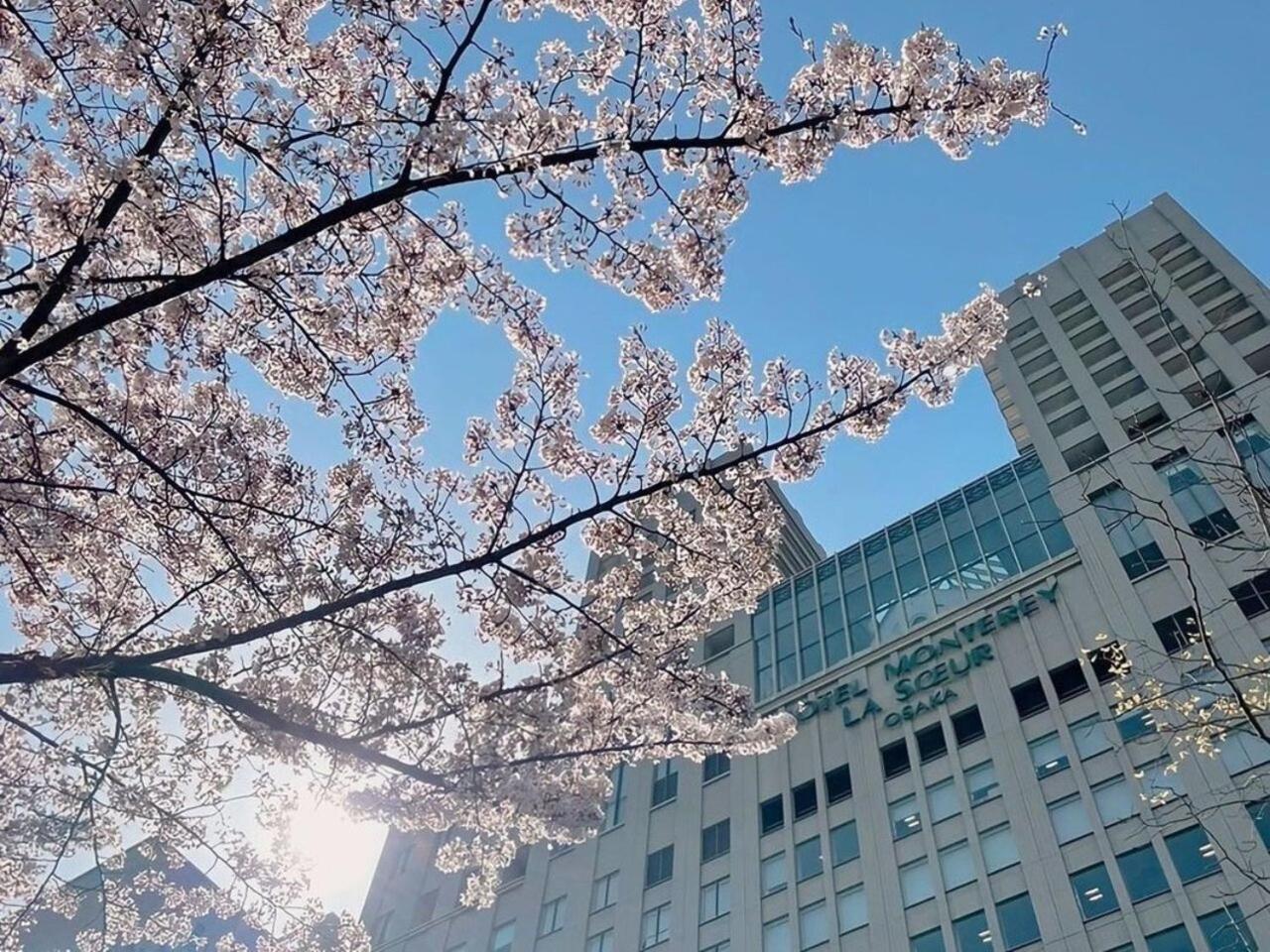 Hotel Monterey La Soeur Ōsaka Eksteriør bilde